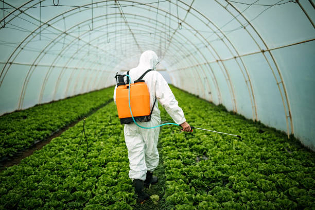 Best Best Pest Control Companies  in Dayton, OH