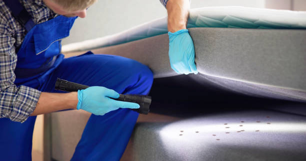 Best Termite Control Services  in Dayton, OH