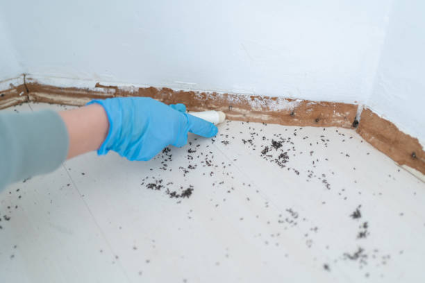 Best Affordable Pest Control Services  in Dayton, OH