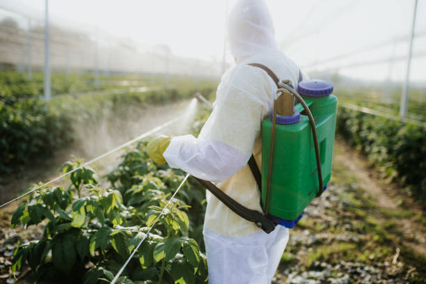 Pest Prevention Services in Dayton, OH